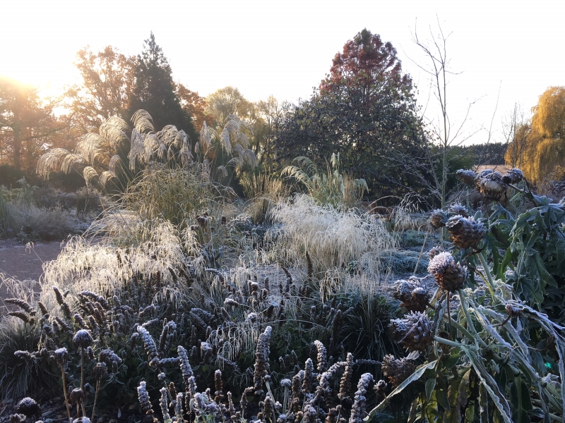 Beth Chatto's Plants & Gardens